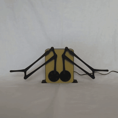 Flapping Motion